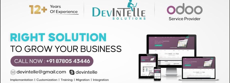 devintelle odoo_india cover