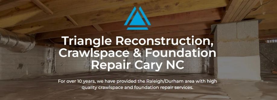 Triangle Reconstruction cover