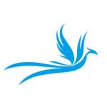 Following profile image