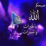 Mahmoud Mansour Profile Picture