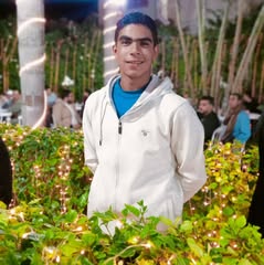 وليدعلاء وليدعلاء Profile Picture