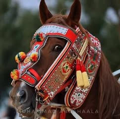 Following profile image