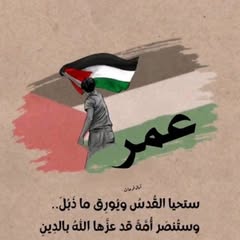 Omar Medhat Profile Picture