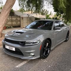 حمد الدليمي Profile Picture