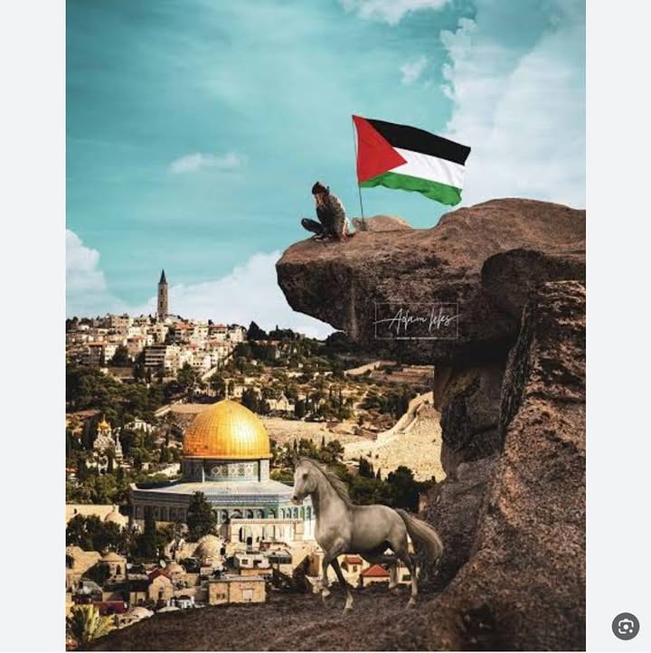 Ahmed Mohamed Eisa Profile Picture