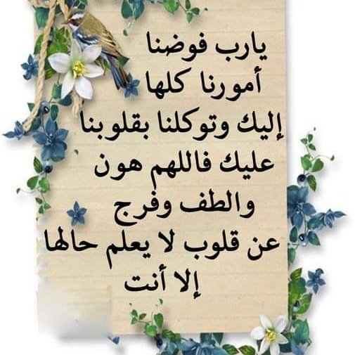 Nasra Ali Profile Picture