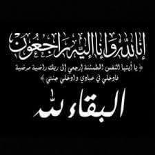 Mostafa Wael Profile Picture