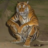 Following profile image