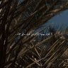 ملاك امجد Profile Picture