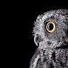 Following profile image