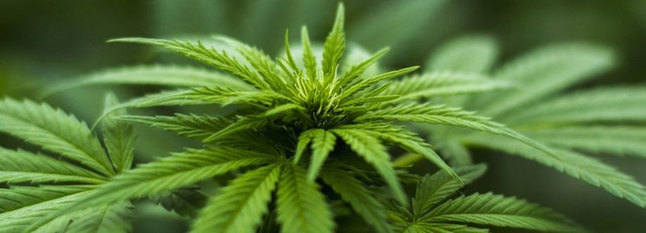 West Coast Cannabis cover