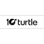 10 turtle