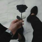 Following profile image