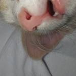 lilly lilly Profile Picture