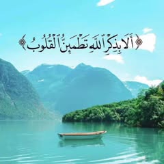 Raghed Majed Profile Picture
