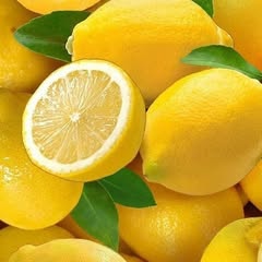 Haddag Feras Profile Picture