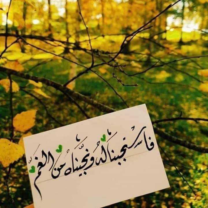 قہطہر آلنہدى آلنہدى Profile Picture