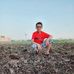 Adham Mahmoud Profile Picture