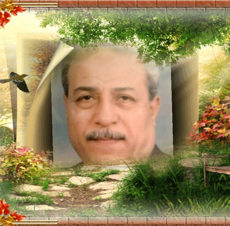 السيد ابو الحمد Profile Picture