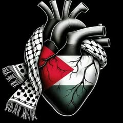 Md Amine Tanjawi Profile Picture