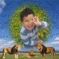 Following profile image