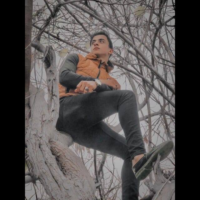 Abdelrahman Fayed Profile Picture
