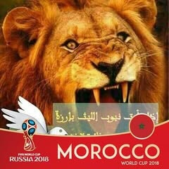 Mou Rad Profile Picture