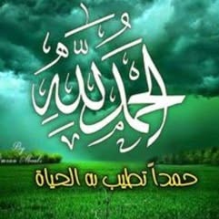 Sajed Mohamed Profile Picture