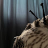 Alketbi7 _ Profile Picture