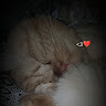 Following profile image