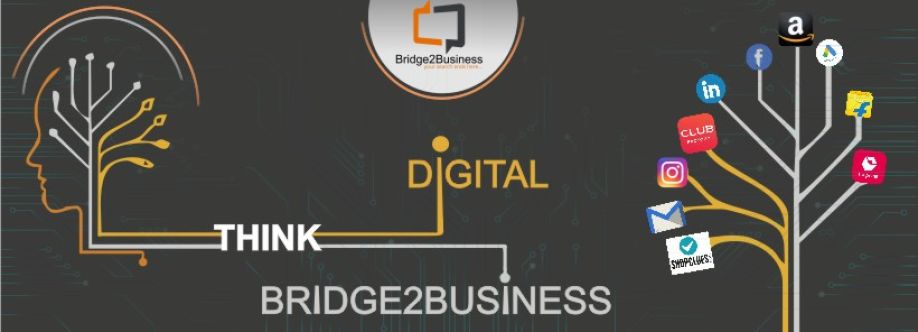 Bridge2Business Consultancy cover