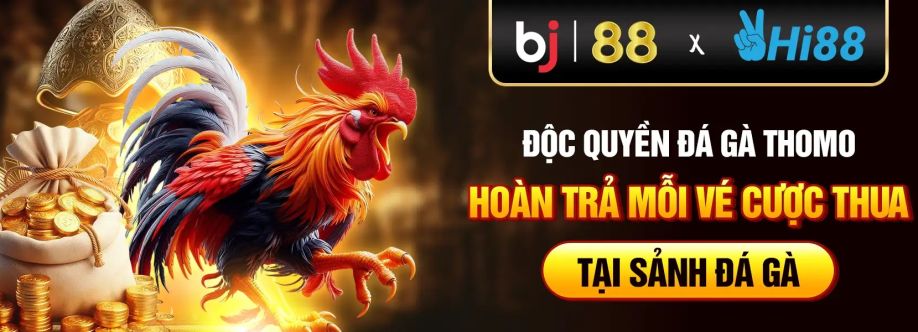 BJ88S IO cover