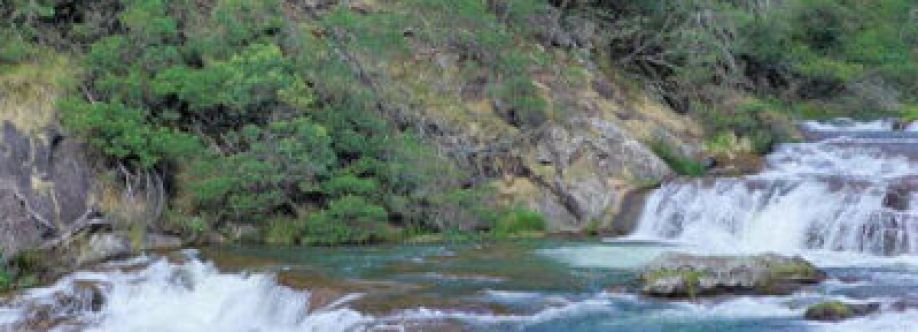 Ooty Kodaikanal Tour Packages cover