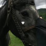 Following profile image