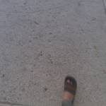 RIAD RIAD Profile Picture