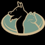 Following profile image