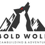 Boldwolf Team Building