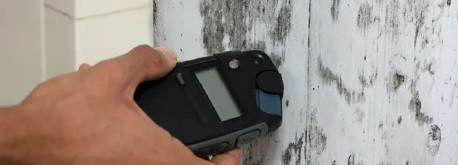 Mould Doctors cover