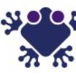 froggy ads Profile Picture