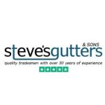 Steves gutters Profile Picture