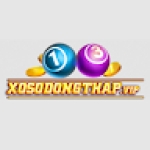 Xổ số Đồng Tháp Profile Picture