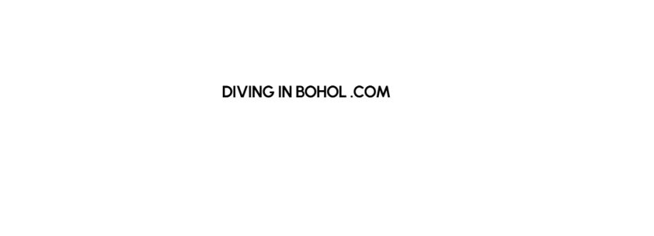 Divingin boholcom cover