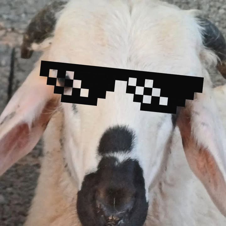 Following profile image