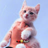 good ali Profile Picture