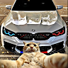 Following profile image