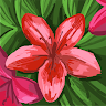 Following profile image
