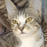 Following profile image