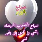 Following profile image