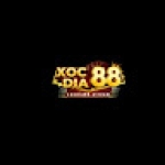 xocdia8 8stream Profile Picture