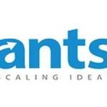 Ants Digital Profile Picture